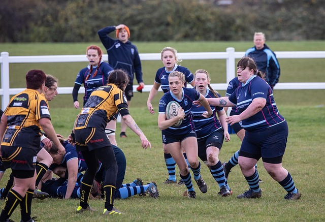 稳定的核心 稳定的核心