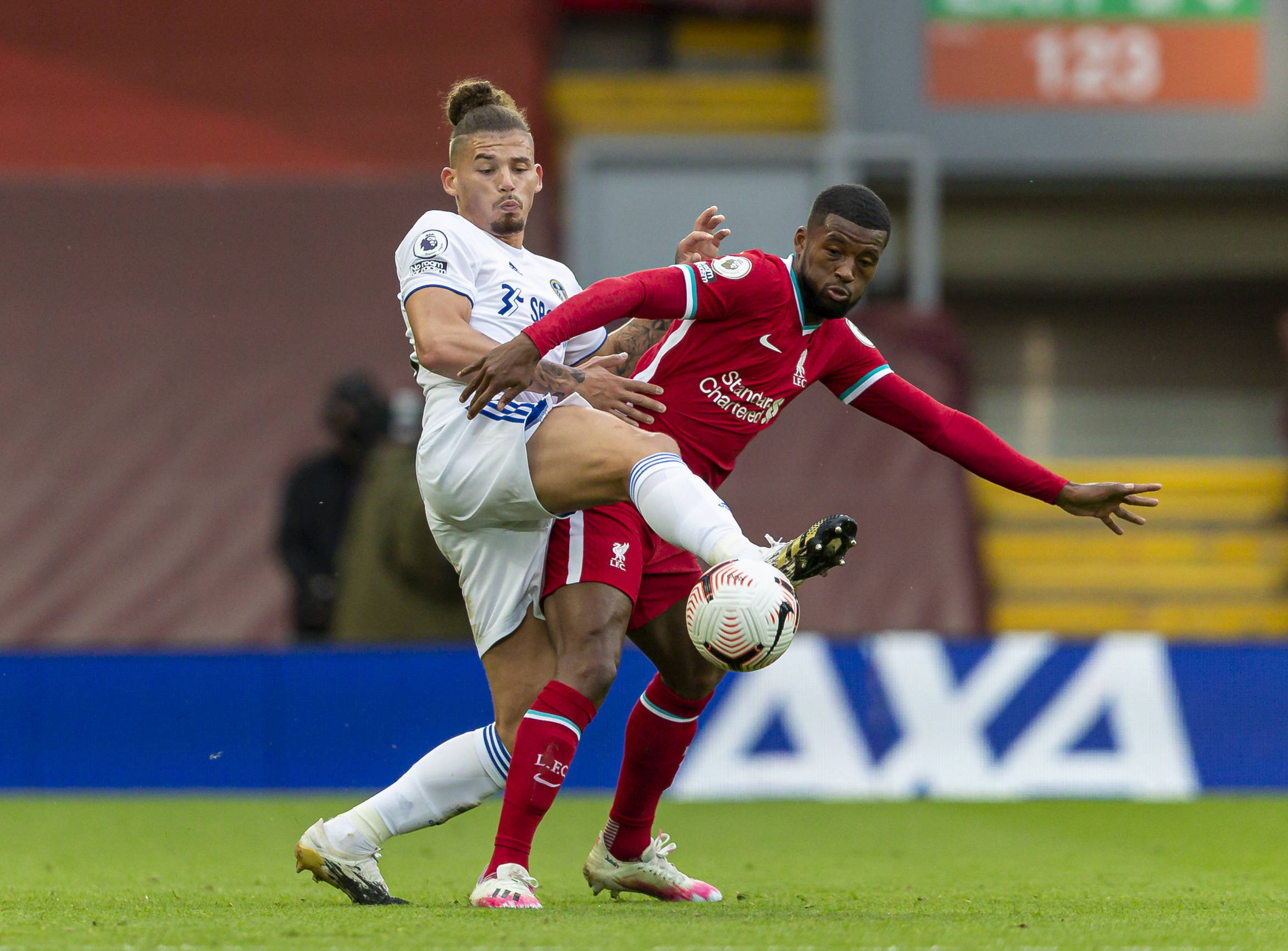 她都力求找 她都力求找