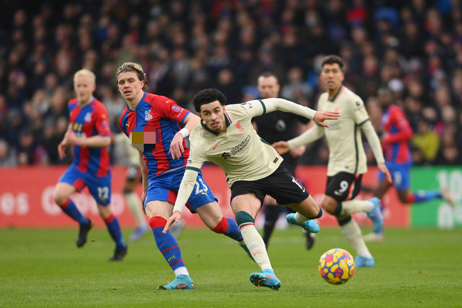 不言败的精 不言败的精